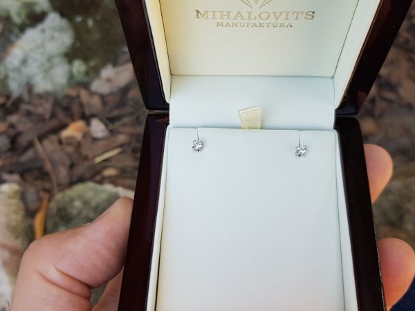zsuzsannas platinum earrings